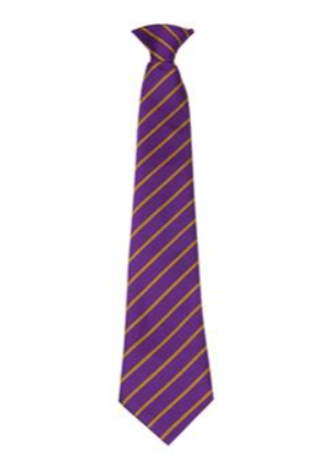 Bishop Barrington Purple/Gold Single Stripe Tie (Compulsory Item)