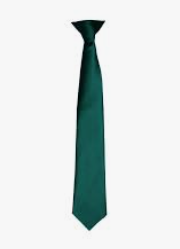 Excelsior Academy Year 7 Plain Bottle Green Traditional Tie (Sept 24)