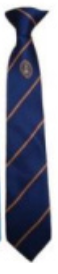 Richmond School Year 8 (Sept 2024) Blue Logo Clip on Tie