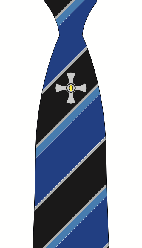 Northallerton School Year 8 (Sept 2024) Blue Logo Clip on Tie