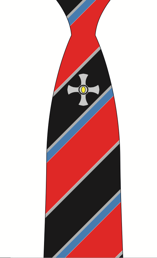 Northallerton School Year 10 (Sept 2024) Red Logo Clip on Tie