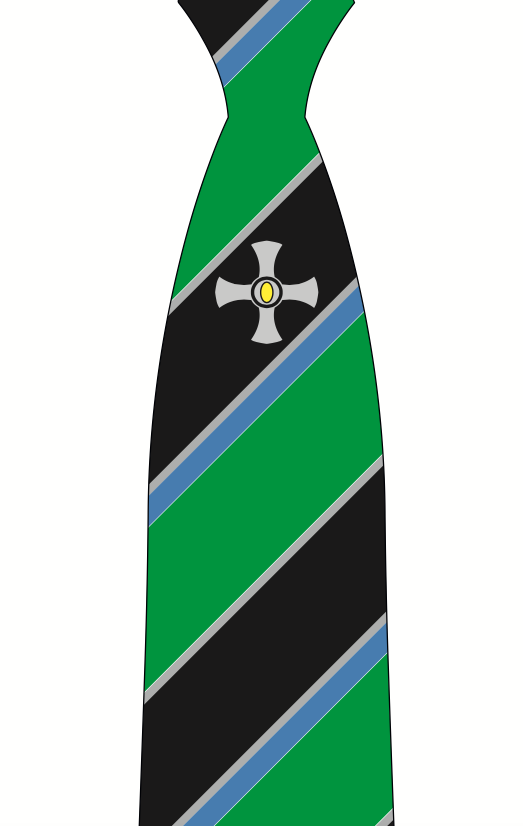 Northallerton School Year 11 (Sept 2024) Green Logo Clip on Tie