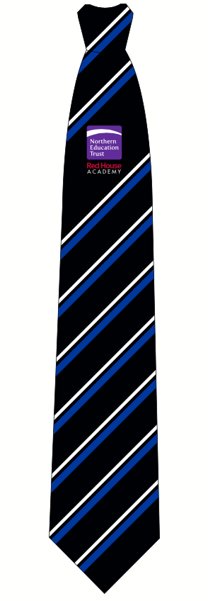 Red House Academy Blue Stripe Traditional Tie(Year 10 Sept 24)