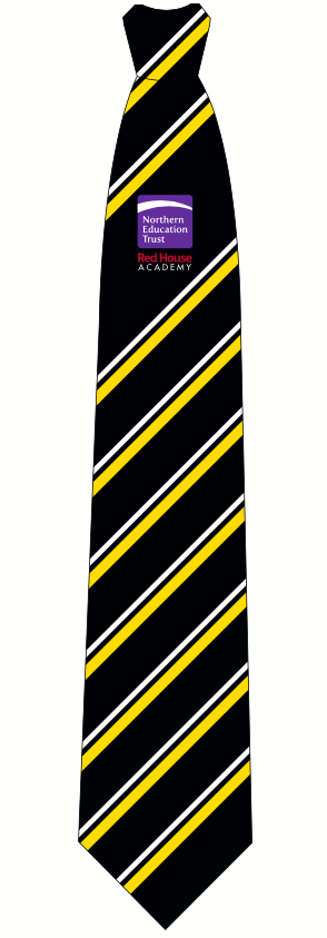 Red House Academy Yellow Stripe Traditional Tie (Year 8 Sept 24)