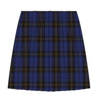 Harton Academy Bespoke Tartan Pleated skirt