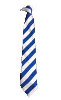 Academy 360 Year 10 clip-on tie (Blue/Silver)