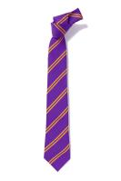 Grace Darling Primary School Year 5 + 6 Clip-on Tie