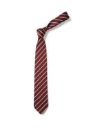 Burnside College Bespoke Clip-on Tie - Compulsory 