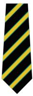 FCA House Tie (GOLD/LAING)