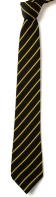 Tanfield School Stripe Yr 7-10 Tie