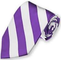 Thorp Academy Bespoke Stripe Clip On Tie (All Students)