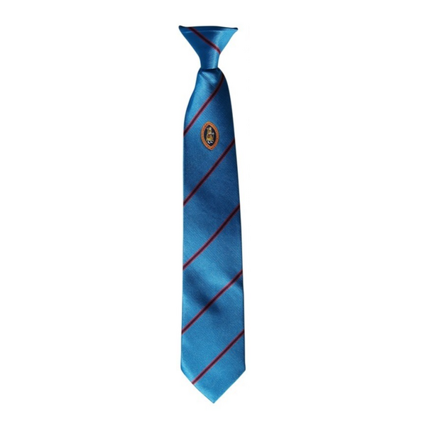 Richmond School Turquoise Logo Clip on Tie - (Y11 Sept 26)