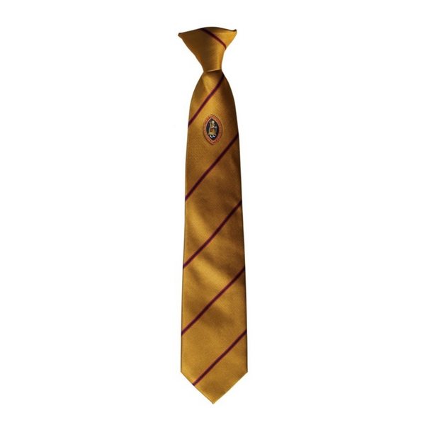 Richmond School Gold Logo Clip on Tie - (Y8 Sept 26)