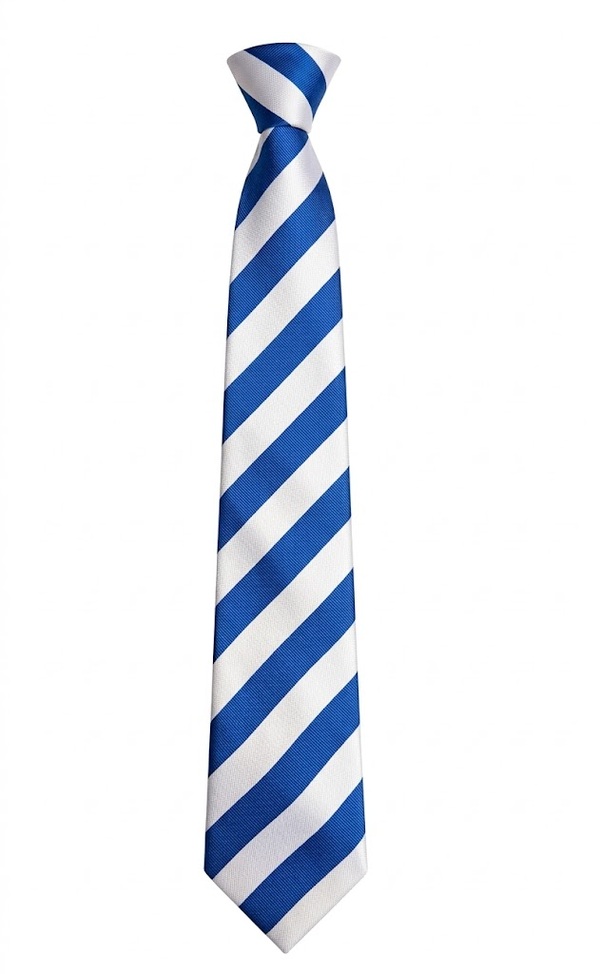 Academy 360 clip-on tie (Blue/Silver) - (Y9 Sept 26)