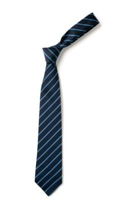 Biddick Academy Bespoke Navy/Blue Stripe Tie - Clip on