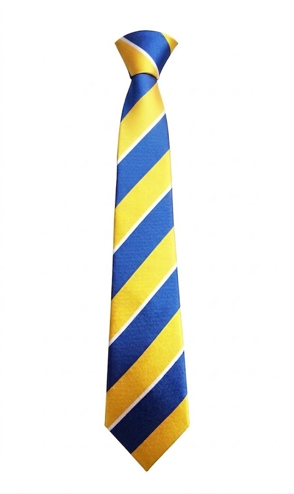 Academy 360 clip-on tie (Blue/Gold) - (Y8 Sept 26)