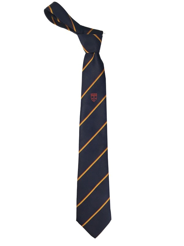Ian Ramsey Navy Striped Traditional Tie - Red (Y7 SEPT 25)