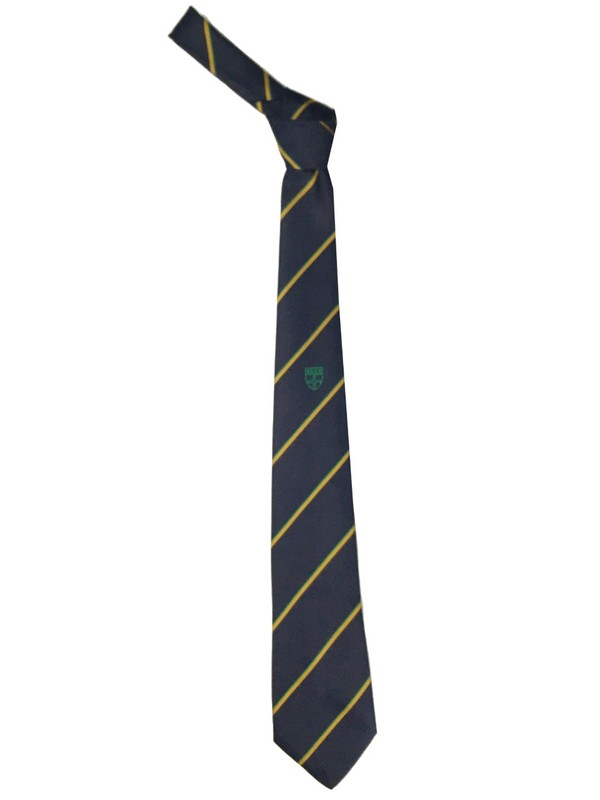 Ian Ramsey Navy Striped Traditional Tie - Green (Y9 SEPT 25)