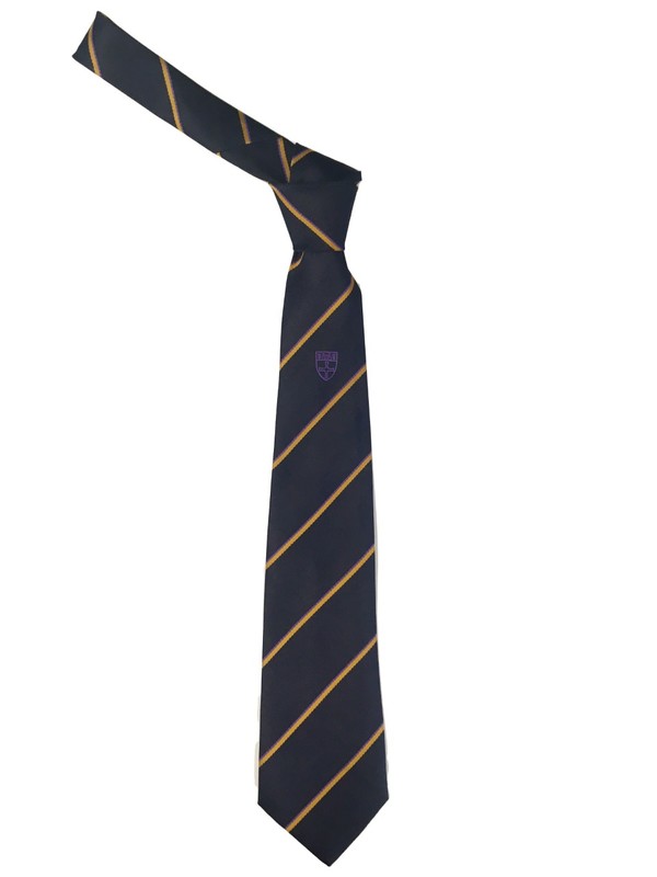 Ian Ramsey Navy Striped Traditional Tie - Purple (Y11 SEPT 25)