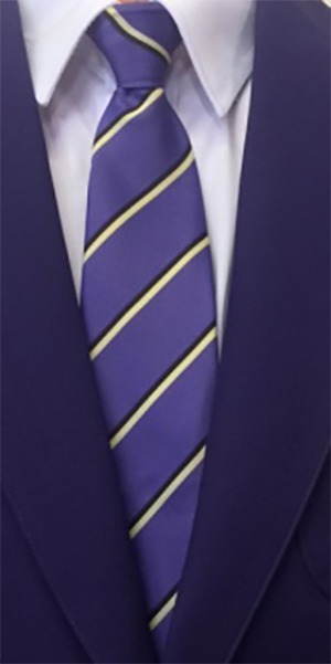 All Saints Purple, Gold and Black Stripe Clip on Tie