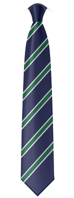 QEHS Compulsory Bespoke Stripe Tie with Clip On (All years) 