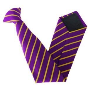 St Teresa's Hartlepool Elastic Tie - Purple and Gold Striped