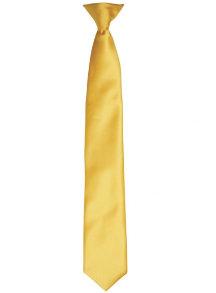 Excelsior Academy Year 8 Gold Clip On Tie