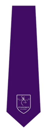 Staindrop Academy Yr 11 Purple Logo Tie (Compulsory Item)