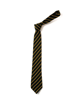 Parkside Academy Black/Gold Stripe Tie (Compulsory Item)