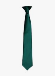 Excelsior Academy Plain Bottle Green Traditional Tie - (Y8 Sept 25)