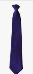 Excelsior Academy Compulsory Year 7 Purple Traditional Tie (for Sept 23)