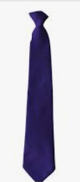 Excelsior Academy Compulsory Purple Traditional Tie (Y9 Sept 25)