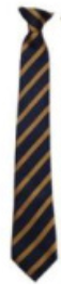 Richmond School Navy Logo Clip on Tie - (Y8 Sept 25)