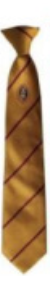 Richmond School Gold Logo Clip on Tie - (Y7 Sept 25)