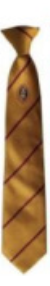 Richmond School Year 11 (Sept 2024) Gold Logo Clip on Tie