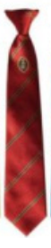 Richmond School Year 10 (Sept 2024) Red Logo Clip on Tie