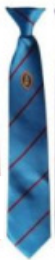 Richmond School Year 8 (Sept 2023) Turquoise Logo Clip on Tie