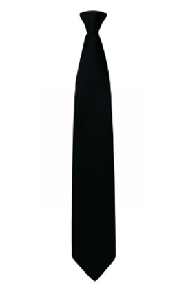 Greenfield Academy Year 11 Black Clip-on Tie