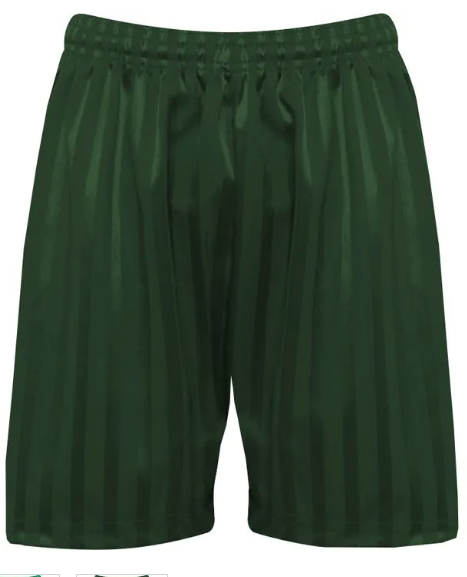 St Augustine Approved Bottle Green Shadow Stripe PE Shorts