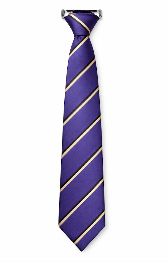 All Saints Purple, Gold and Black Stripe Clip on Tie