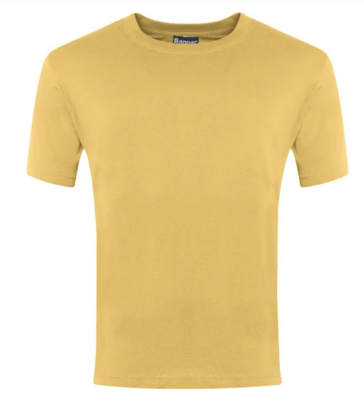 Plain Yellow Champion T-Shirts - 100% Cotton