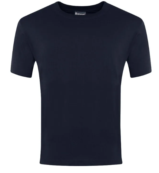 Plain Navy Champion T-Shirts - 100% Cotton