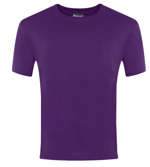 Plain Purple Champion T-Shirts - 100% Cotton