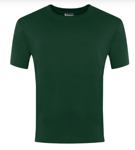 Plain Bottle Green Champion T-Shirts - 100% Cotton