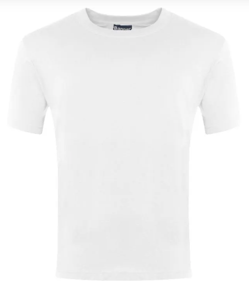 Plain White Champion T-Shirts - 100% Cotton