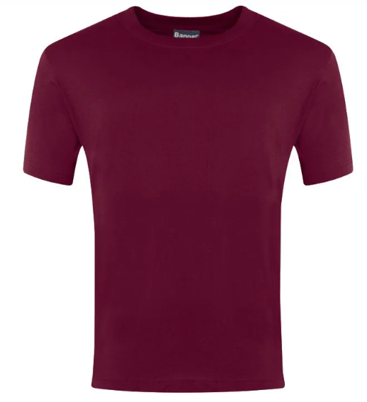 Plain Maroon/Burgandy Champion T-Shirts - 100% Cotton