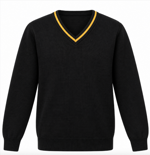 Tanfield School Bespoke V-Stripe Jumper