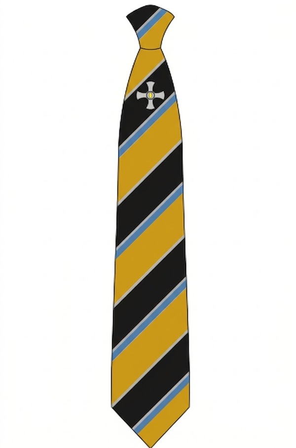 Northallerton School Yellow Logo Clip on Tie - (Y11 Sept 26)