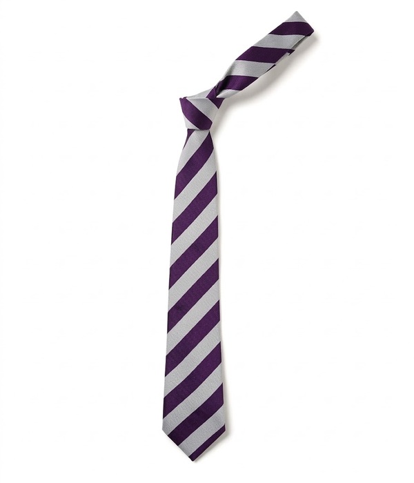 Framwellgate School Durham Purple Stripe Tie - (Y7 Sept 26)