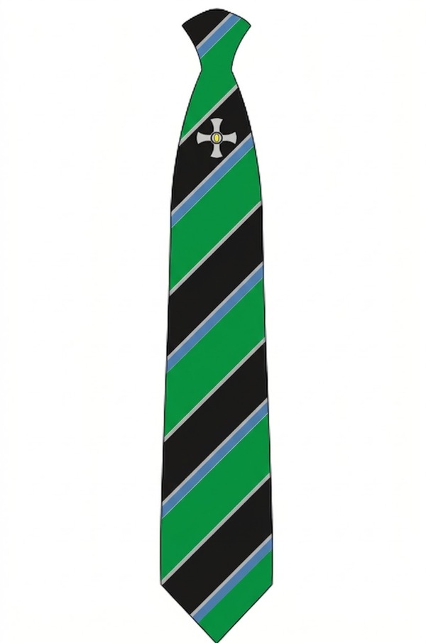 Northallerton School Green Logo Clip on Tie - (Y8 Sept 26)